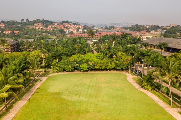 Mango Garden